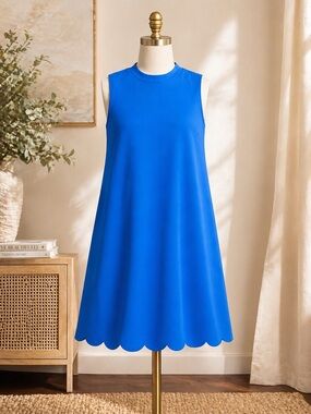 Everly Blue Scalloped Hem Shift Dress Size Large Sleeveless Minimalist Chic